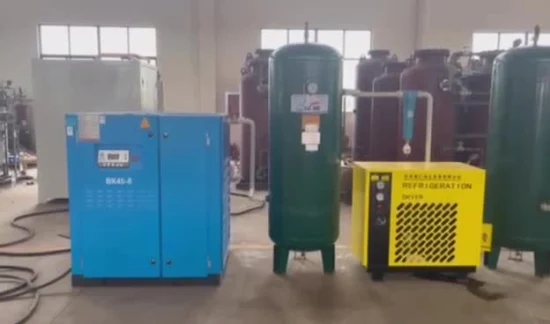 Fabricación de máquina generadora concentradora ISO13485 baja, sistema de guía de nitrógeno Psa, cilindro de oxígeno